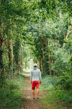 Homme marchant dans une for&ecirc;t au printemps. Personne avec un short rouge se prom&egrave;ne dans les bois verts. Balade dans la nature