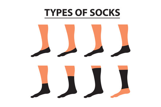 Educational Vector Infographic Set of Various Types of Socks for Apparel Design