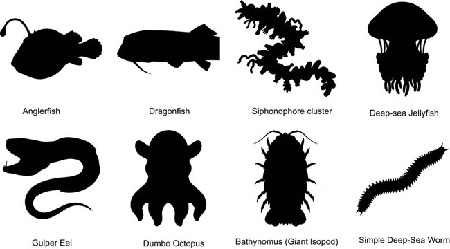 Deep Sea Creature Black Silhouette Vector Icon Set Featuring Anglerfish Dragonfish Jellyfish Gulper Eel Dumbo Octopus Giant Isopod Marine Life Collection