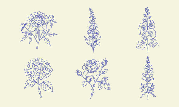 Vintage botanical illustrations of various flowers in a delicate blue line art style