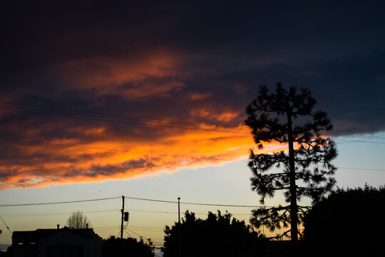 Silhouette of a tall pine tree and power lines against a dramatic orange and dark cloud sunset.