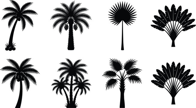 Palm tree black silhouettes vector icons set featuring coconut date and travelers palm variations
