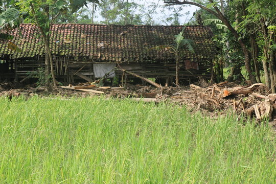 post flood village, indonesian rural home, flood aftermath, disaster recovery, damaged house, mud covered yard, flooded village, rural community disaster, natural disaster cleanup, asian village house