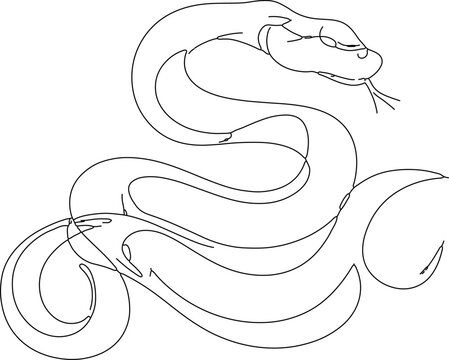 Coiled snake with forked tongue in minimalist line art style