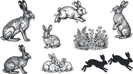 Vintage rabbit etching vector illustration set with retro engraved woodcut style wild hares and forest bunnies © MdMoklesur