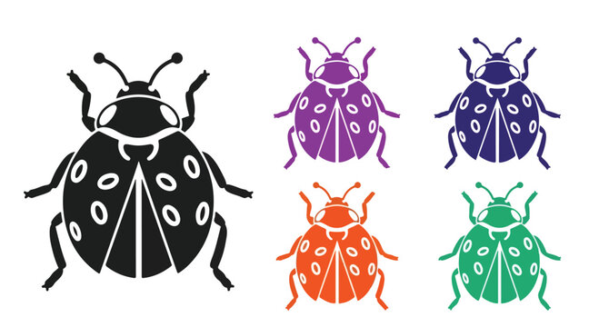 Set of colorful beetle illustrations in multiple colors and silhouettes.
