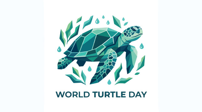 World Turtle Day Illustration