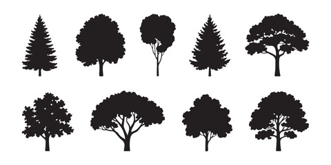 Detailed deciduous and coniferous tree silhouettes set for forest landscape and park scene creation. © MSTALIMA