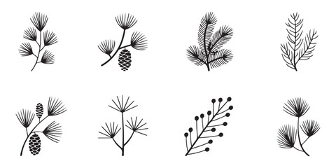 Various pine branches with needles and cones, and berry sprigs isolated on transparent background. © MSTALIMA