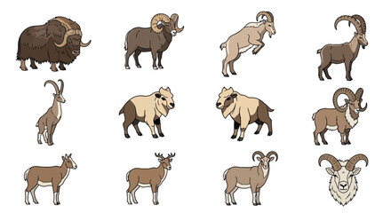Obraz premium Set of horned mammals including rams and mountain goats.
