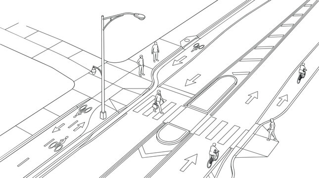 Urban Street Cross Section with Bicycle Lanes Pedestrian Crosswalk and Road Infrastructure Line Art