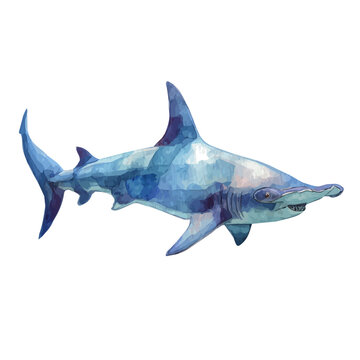 Hammerhead Shark, isolated watercolor element on white background