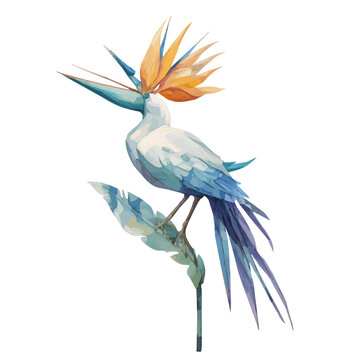 Hand-painted watercolor artwork of Giant White Bird Of Paradise, isolated on white background