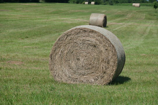 Hay Bale