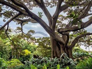 Wendy Whiteley's Secret Garden in Sidney © estivillml
