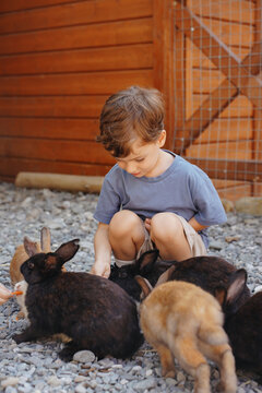 Toddler Playing With Rabbits On A Farm