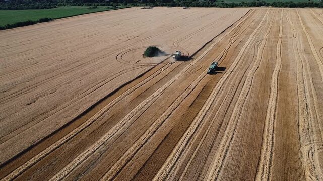 Aerial drone view of a combine harvester and grain trailer working together in a golden wheat field during harvest