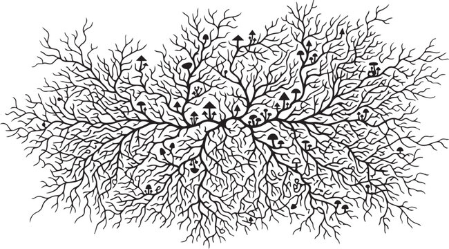 Intricate black and white mycelium network illustration with mushrooms