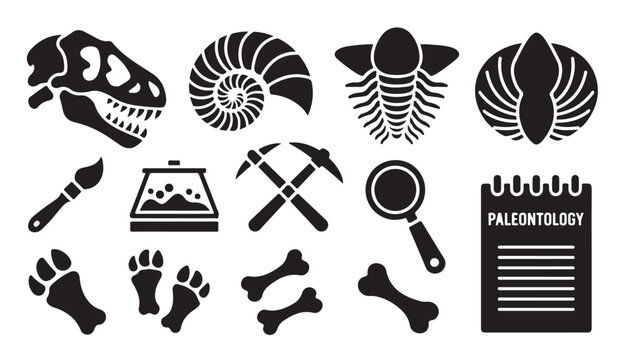 Paleontology set containing dinosaur skull ammonite fossils paw prints bones and tools.