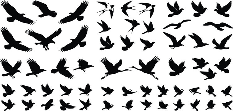 Flying Bird Silhouette Collection Featuring Eagles Hawks Swallows Doves Sparrows and Wild Avian Black Vector Illustration Set