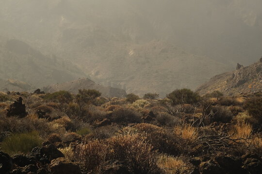 Volcanic landscape in Teide National Park covered by mist 