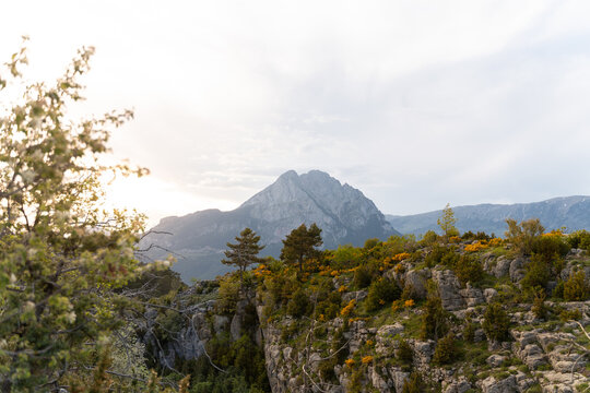 Mountain View From Rocky Hillside  Sunset