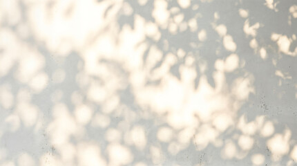 Abstract sunlit bokeh background, warm beige wall with soft leaf shadow pattern, minimal natural light texture backdrop © GraphicsWorld