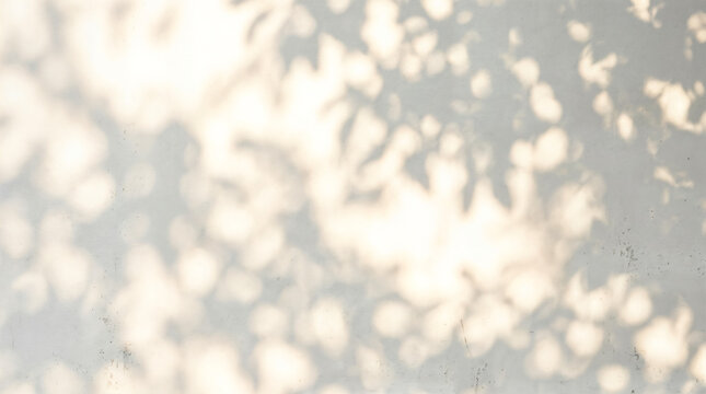 Abstract sunlit bokeh background, warm beige wall with soft leaf shadow pattern, minimal natural light texture backdrop