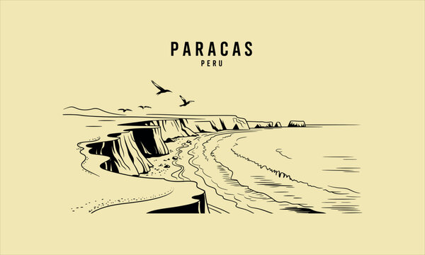 Paracas peru coastal landscape with cliffs and flying birds over ocean