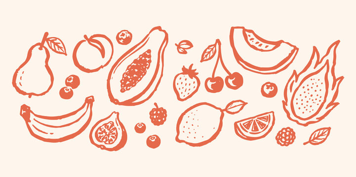 Fruit set doodle outline illustration vector