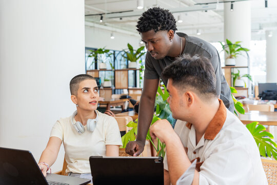 Young Entrepreneurs Working Together in a Modern Office Setting