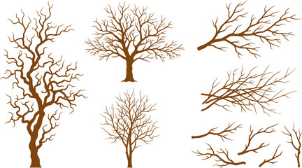 Fototapeta premium Autumn Leafless Tree Silhouette Vector Isolated on White Background with Bare Branches Black Nature Forest Illustration