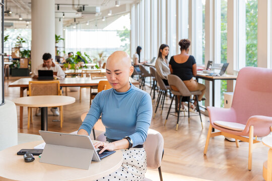 Working in a Modern Office Space During the Daytime With Sunlight