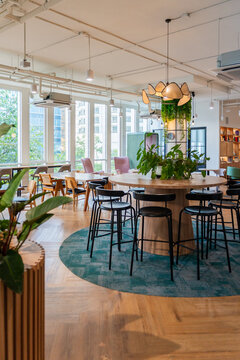 Modern Workspace With Plants in a City Office Setting