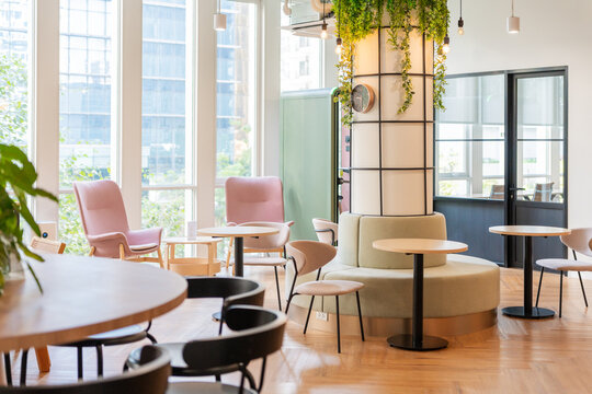 Modern Seating Area in Cafe With Plants and Natural Light