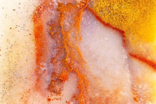 Opalized Petrified Wood Detail  