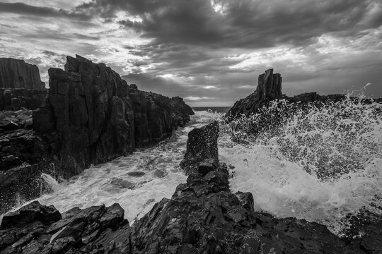 Kiama splash with birds