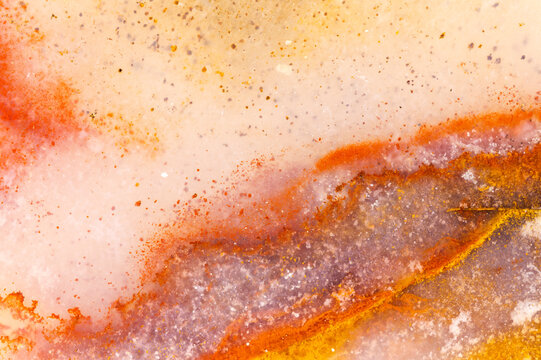 Opalized Petrified Wood Close Up  