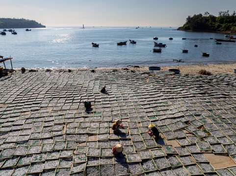 Coastal Fish Drying Yard