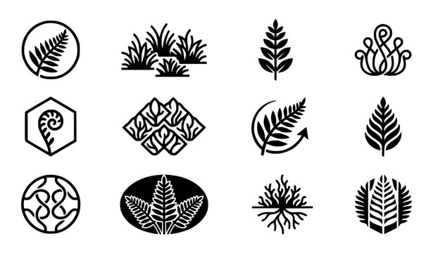 Modern abstract generic fern symbol vector clipart set with minimalist clean outline unbranded organic brand moss foliage monogram and cosmic botanical logo graphics black and white