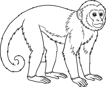 Monkey Outline Illustration &ndash; Hand Drawn Primate Line Art Isolated on White Background
