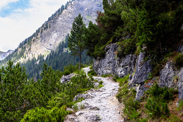 Mountain hiking trail along rocky slope with pine trees, Austria, Tyrol, Zams, 28 June 2026 © were