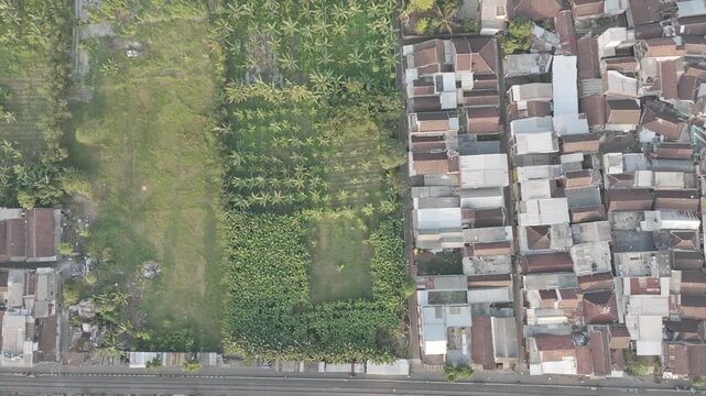 Aerial view shows contrast between green farmland and dense residential area. Metal-roofed homes cluster close to cultivated fields. Street separates two worlds: nature and human settlement