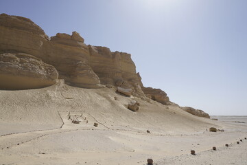 Wadi Hitan National Park © Damian