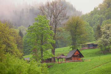 Wiosna w Pieninach. Mglisty poranek.. © Janusz Lipiński