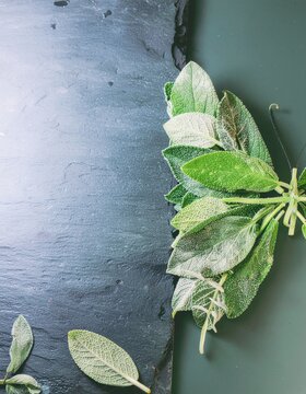 Sage herb bundle arranged on a black slate plate and green background top view vertical shot