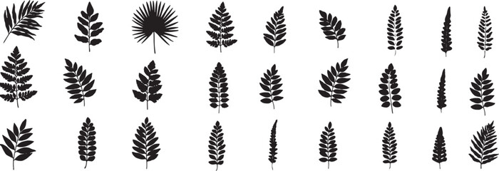 Set of assorted black leaf silhouettes and fern branches isolated on transparent checkered background. Vector Illustration © Abdul