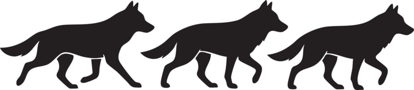 Three wolves walking silhouette graphic icon set with silhouette, wildlife