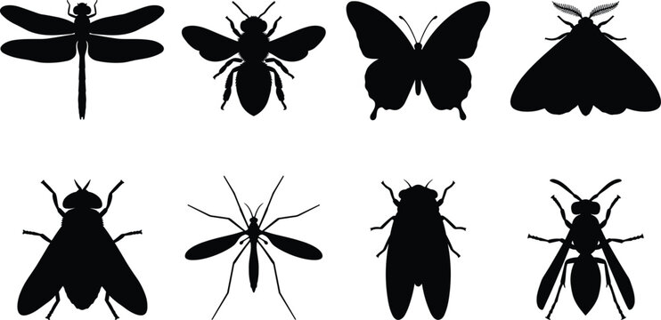 Black Silhouette Insect Icons Depicting Dragonfly, Bee, Butterfly, Moth, Fly, Mosquito, Cicada, and Wasp Species