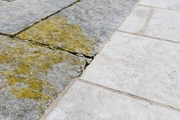 Fototapeta premium The Mossy Stone Pavement with Cracked Joints and Weathered Tiles